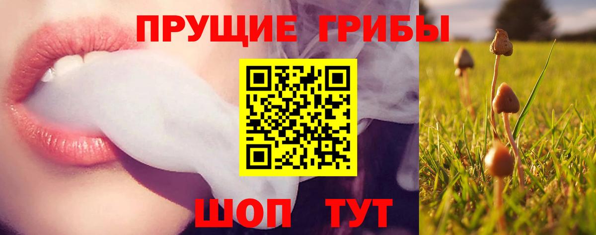 Мурманск  Галлюциногенные грибы MAGIC MUSHROOMS  Вход с VPN 